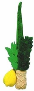 Plush Lulav & Esrog Set