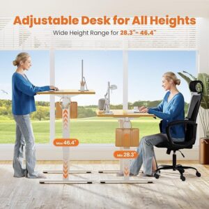 Electric Standing Desk Adjustable Height