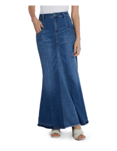 Bliss Flare Denim Maxi Skirt