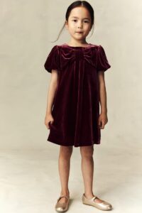 Silk-blend Velvet Dress