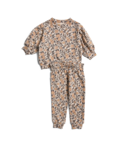 Toddler Girl Printed Pullover and Jooger Set Size 2-4