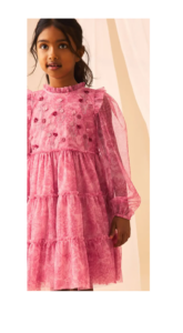 Kids' Embroidered Ruffle Long Sleeve Tiered Mesh Dress