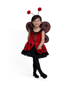 Kids Ladybug Fairy Costume