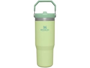 Stanley Iceflowflip Straw Tumbler