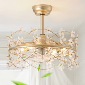 Youngrender 20 Inch Gold Caged Ceiling Fan with Light