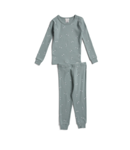 Boys 2pc Dragonflies Pajama Set 12m-24m