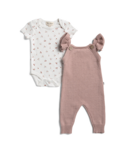 Newborn Girls 2pc Knit Overalls and Bodysuit Set