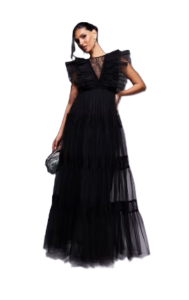 Lace & Beads Lace Insert Tulle Maxi Dress in Black